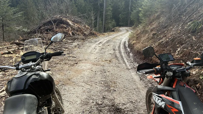 Schotterrunde Foto 1