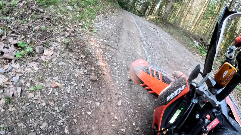 Anf&auml;nger-Trainingstag
